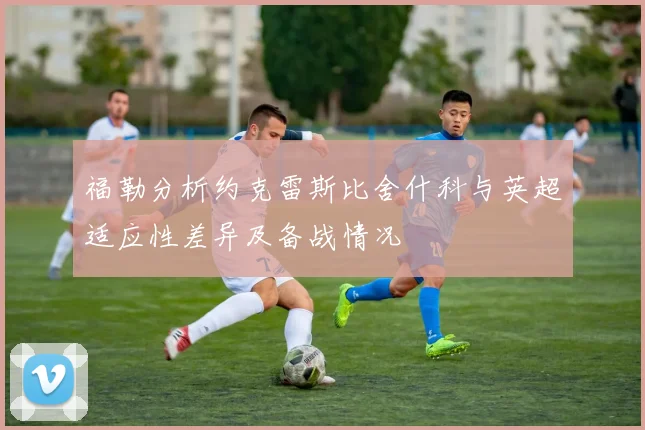 福勒分析约克雷斯比舍什科与英超适应性差异及备战情况
