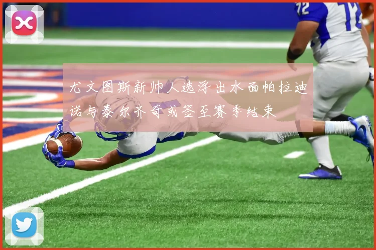 尤文图斯新帅人选浮出水面帕拉迪诺与泰尔齐奇或签至赛季结束
