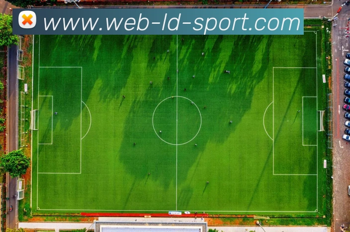 乐动体育APP 封面图